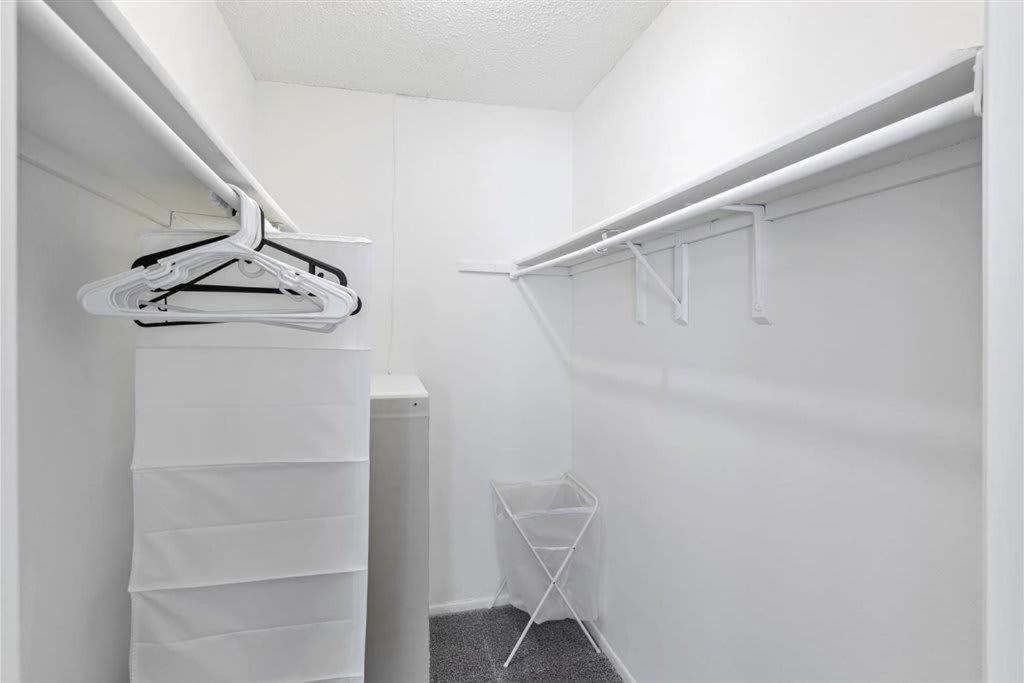 Special Apartment 1Br With Gym And Parking Брейдентон Екстер'єр фото